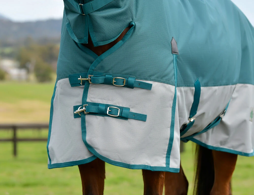 SAXON Robur 1200D Combo Neck Lite