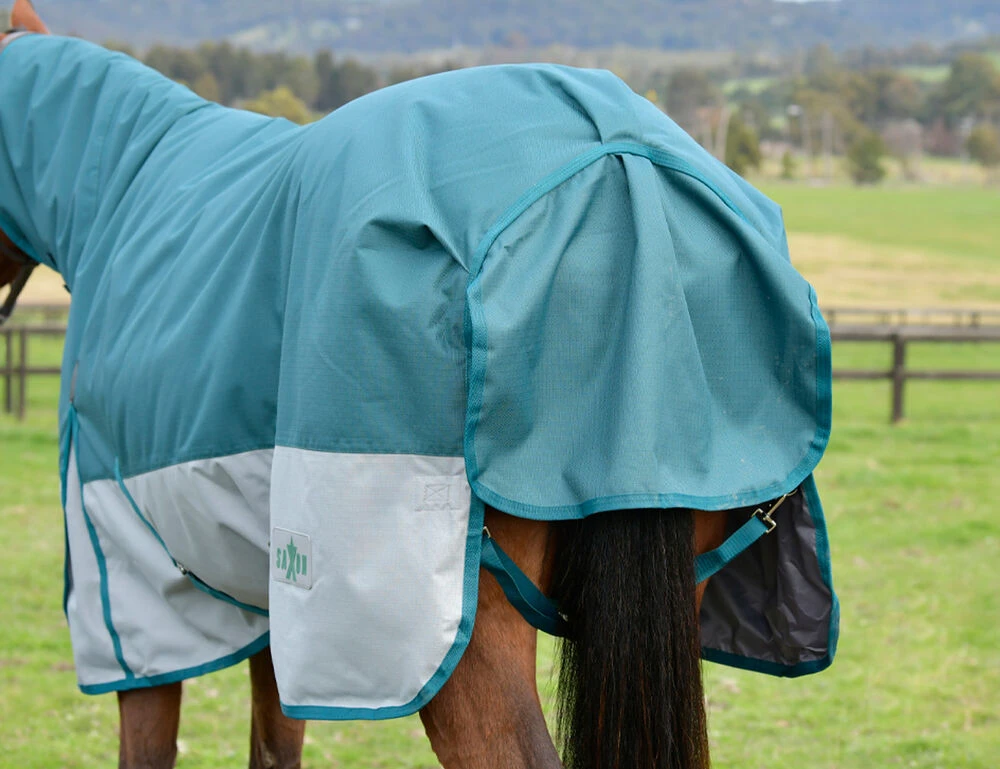 SAXON Robur 1200D Combo Neck Lite