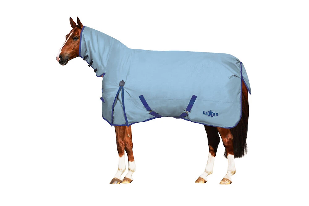 SAXON Robust 600D Combo Neck Lite