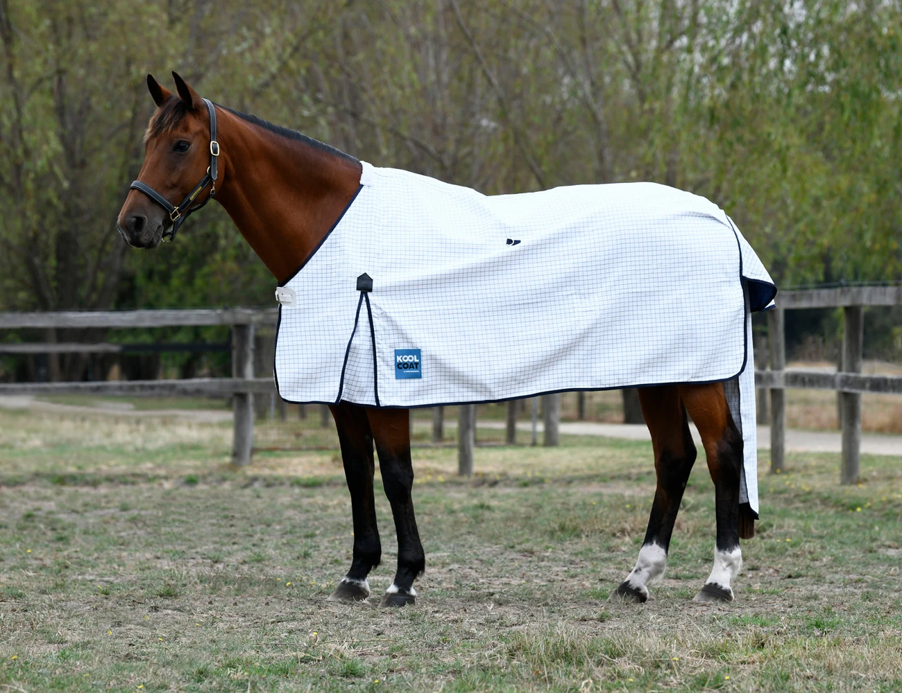 KOOL COAT Classic Standard Neck II