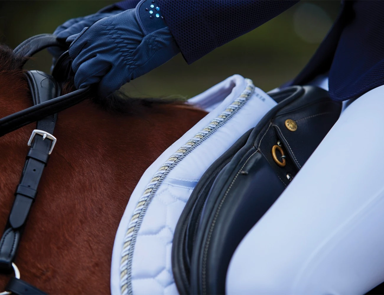 WEATHERBEETA Prime Competitor Jump Shaped Saddle Pad