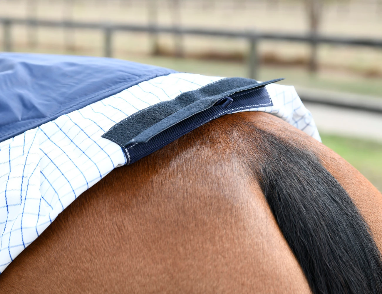 KOOL COAT Classic Standard Neck II