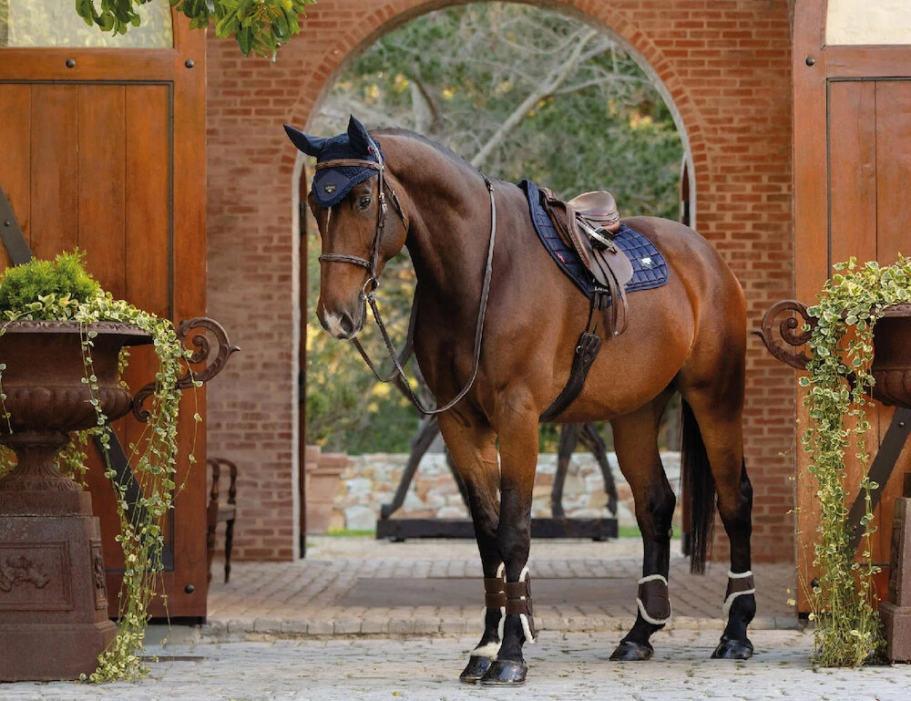 LEMIEUX Lemieux Loire Classic Satin Square Close Contact Saddle Pad
