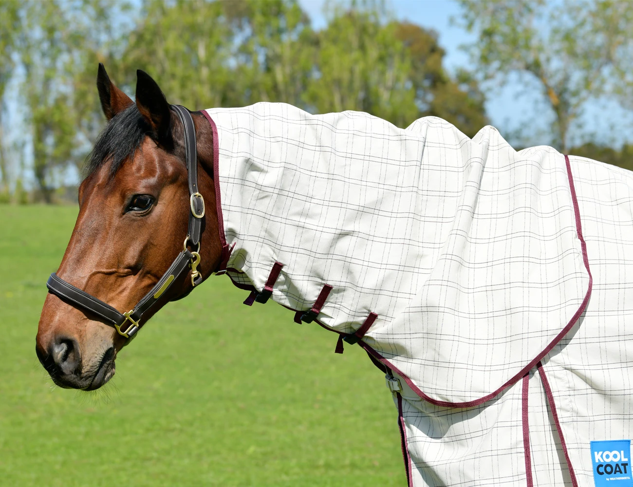 KOOL COAT Cotton Combo Neck II