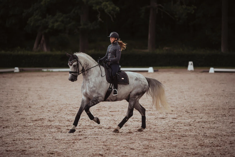 EQ STOCKHOLM Equestrian Stockholm Dressage Saddle Pad