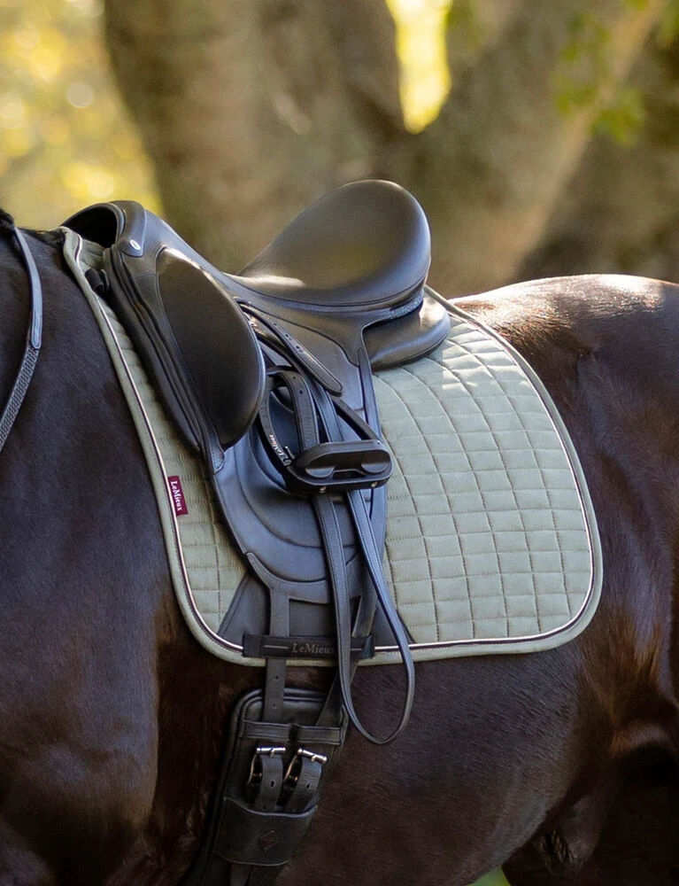 LEMIEUX Suede Dressage Square Saddle Pad