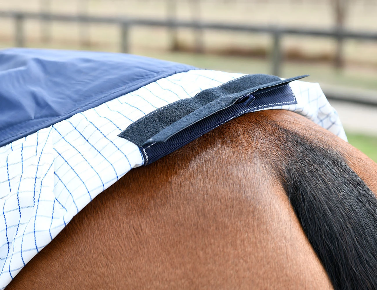 KOOL COAT Classic Combo Neck II