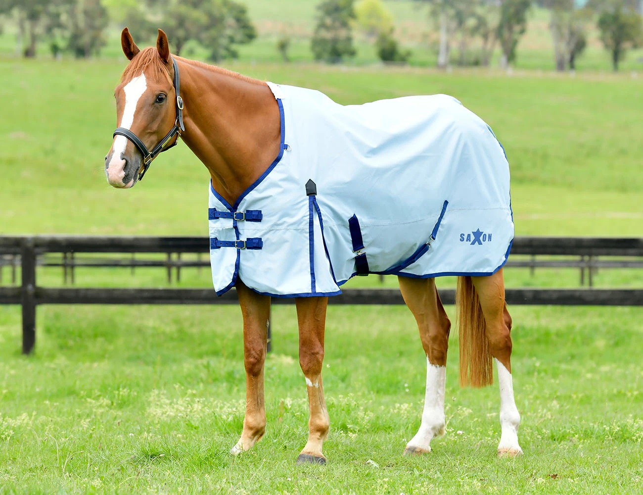 SAXON Robust 600D Standard Neck Lite