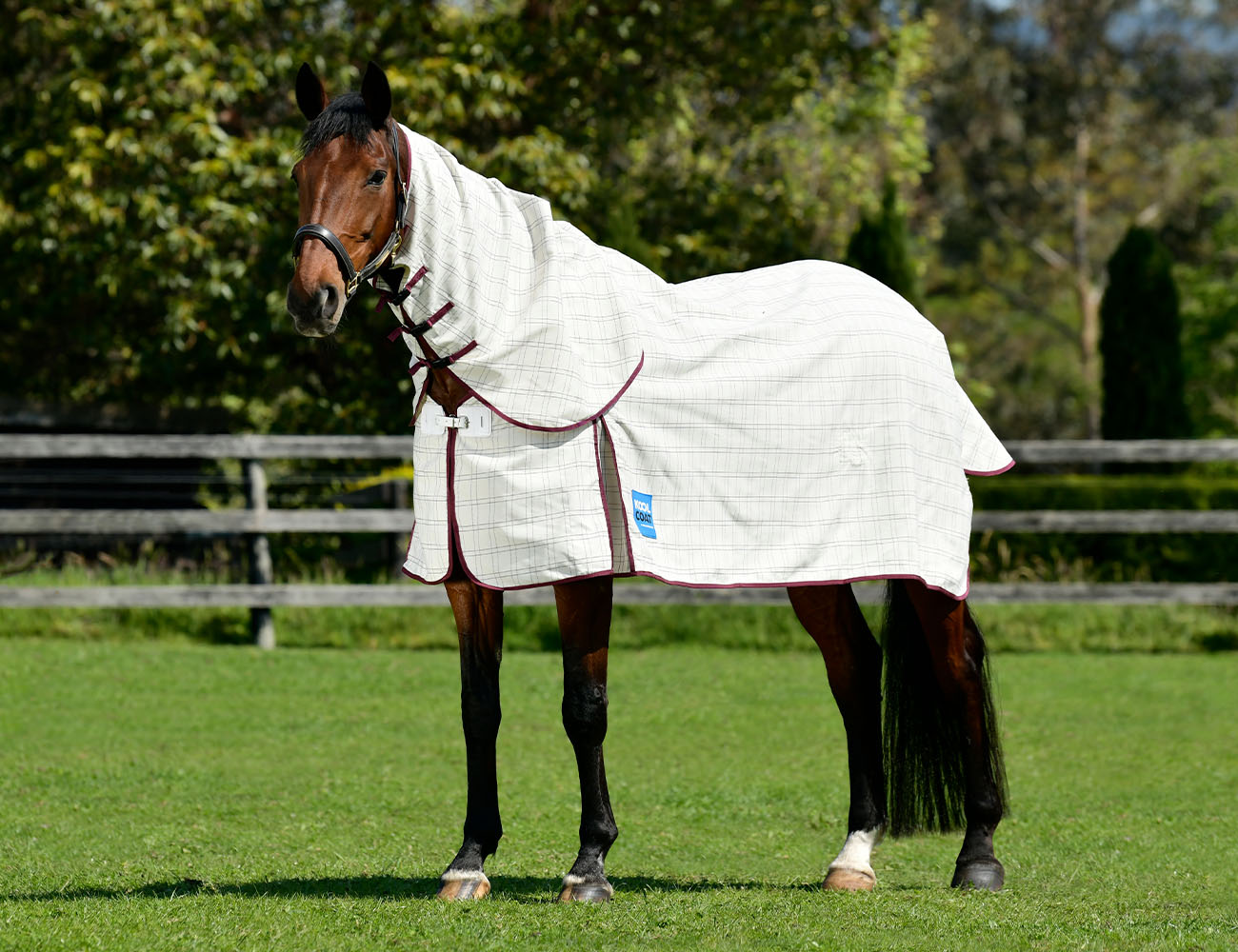 KOOL COAT Cotton Combo Neck II