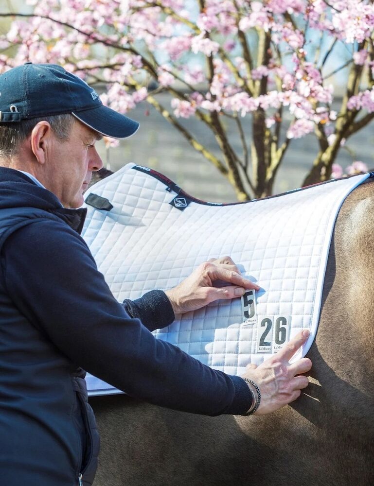 LEMIEUX Lemieux Cotton Square Dressage Saddle Pad