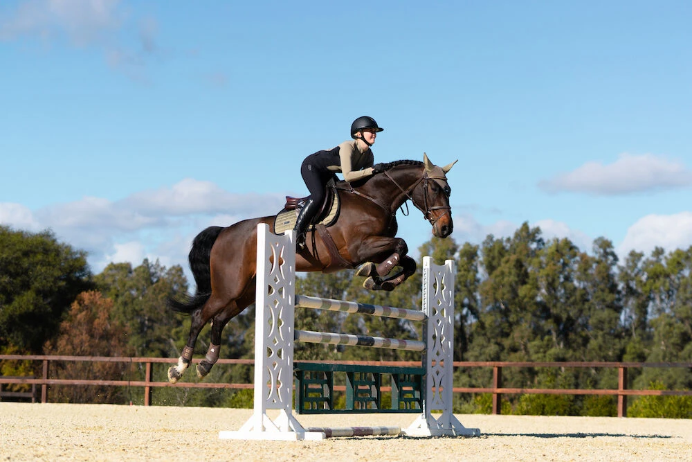 EQ STOCKHOLM Equestrian Stockholm Jump Saddle Pad