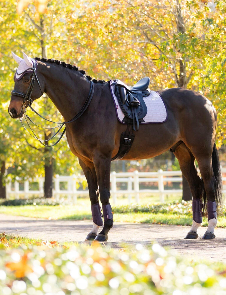 LEMIEUX Suede Dressage Square Saddle Pad
