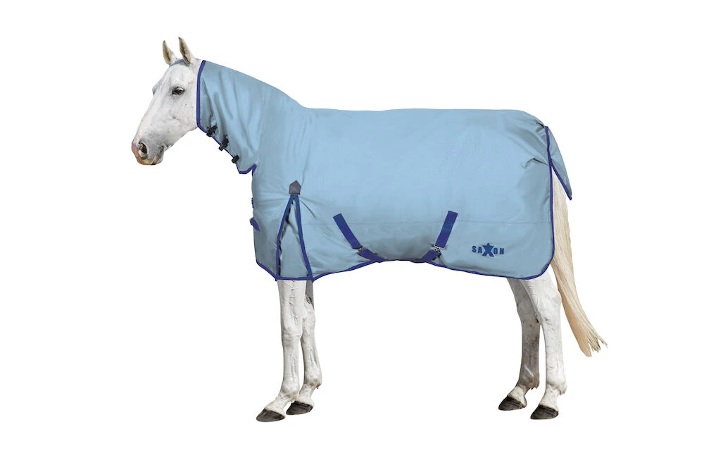 SAXON Robust 600D Combo Neck Lite