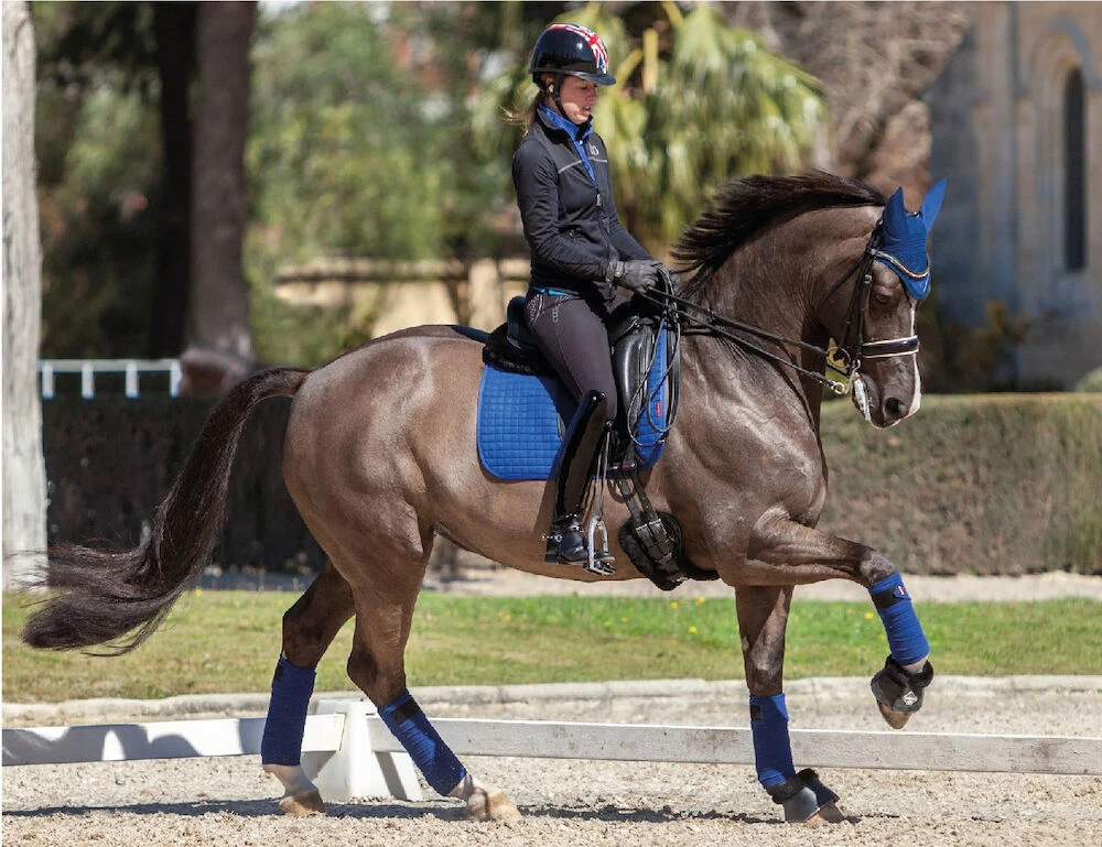 LEMIEUX Lemieux Prosport Suede Square Dressage Saddle Pad
