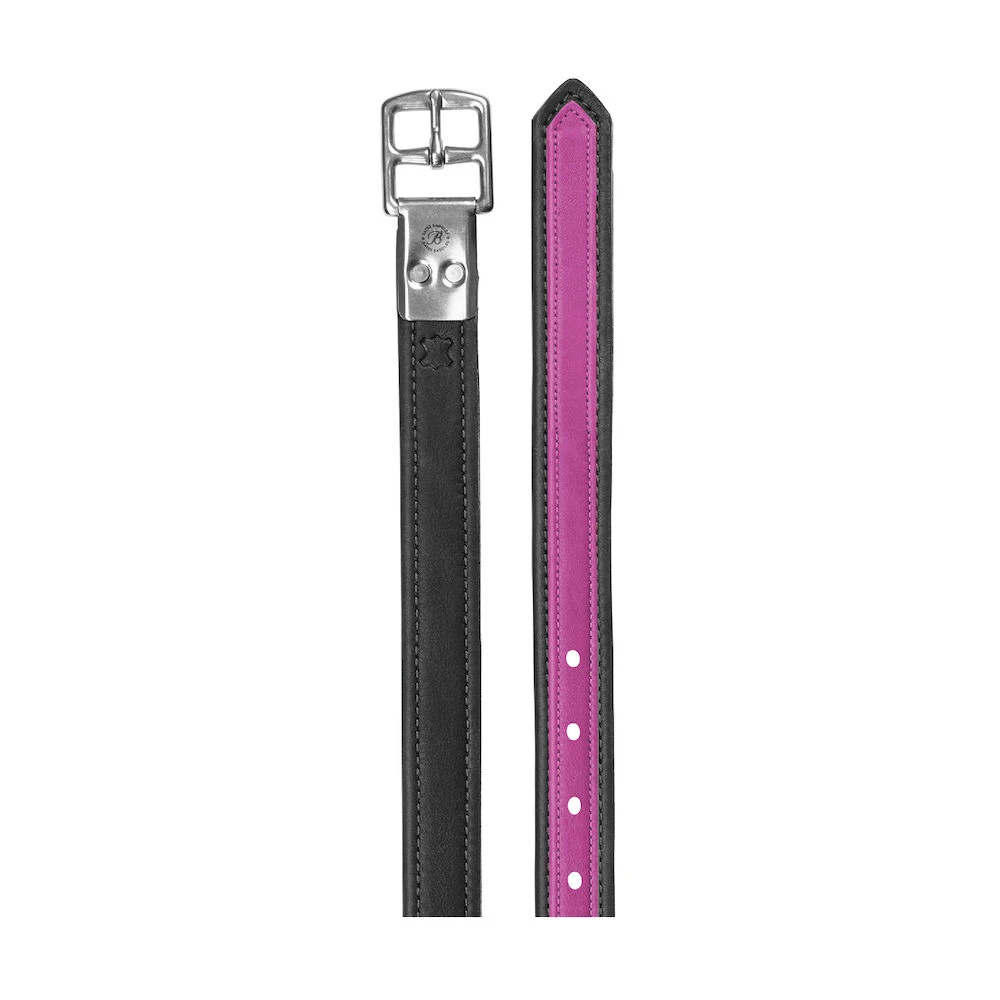 BATES Stirrup Leathers Coloured Luxe