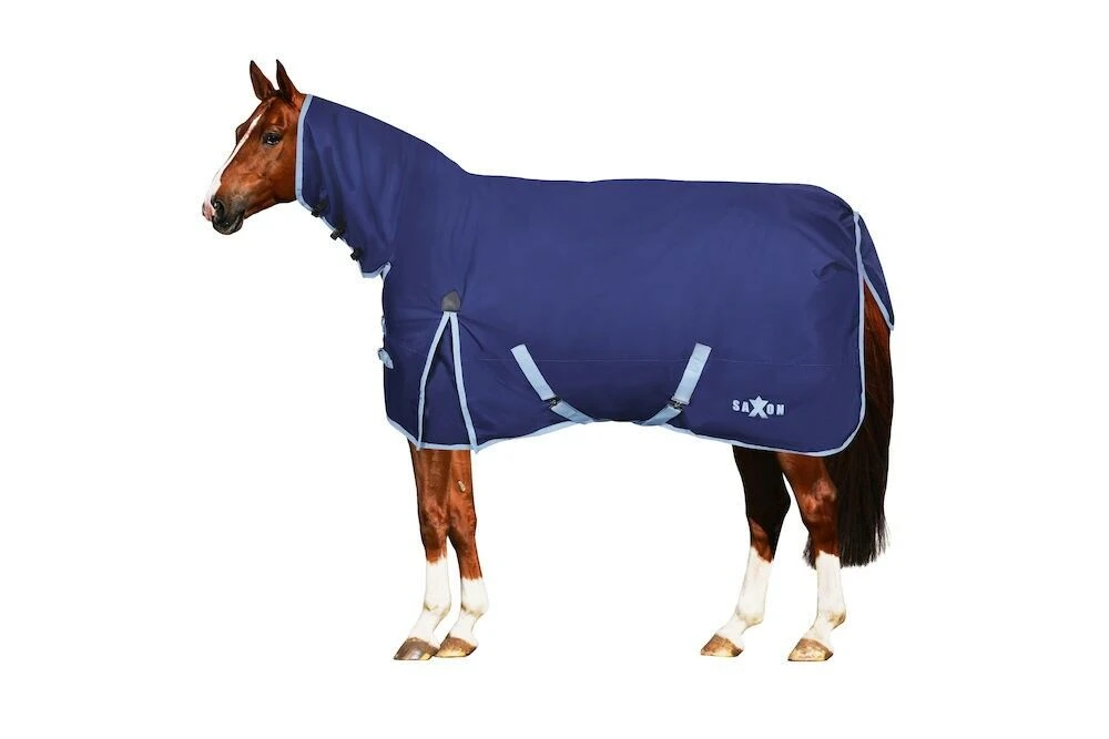 SAXON Robust 600D Combo Neck Medium