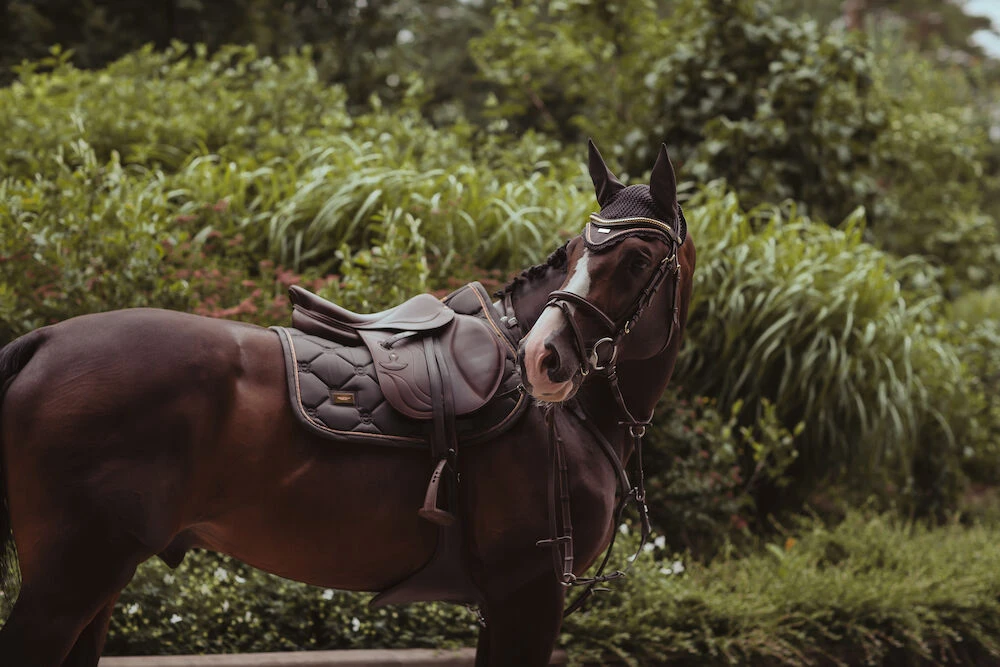 EQ STOCKHOLM Equestrian Stockholm Jump Saddle Pad