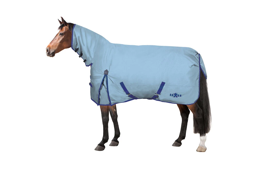 SAXON Robust 600D Combo Neck Lite