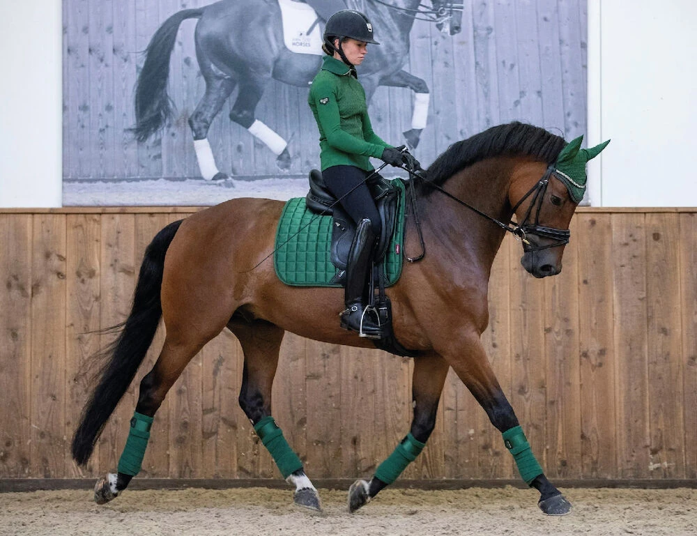 LEMIEUX Lemieux Prosport Suede Square Dressage Saddle Pad