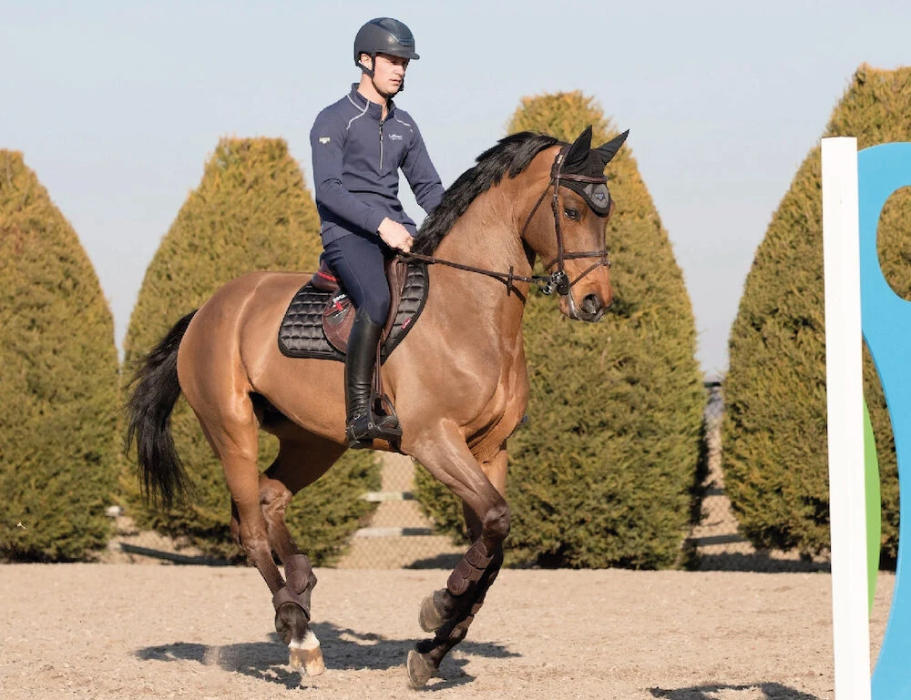 LEMIEUX Lemieux Loire Classic Satin Square Close Contact Saddle Pad