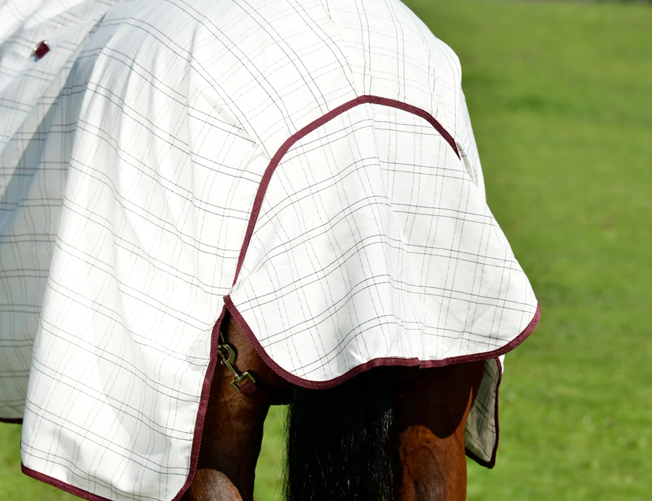 KOOL COAT Cotton Standard Neck II