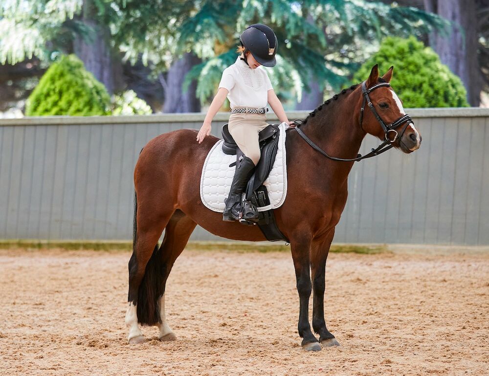 WEATHERBEETA Prime Competitor Dressage Saddle Pad