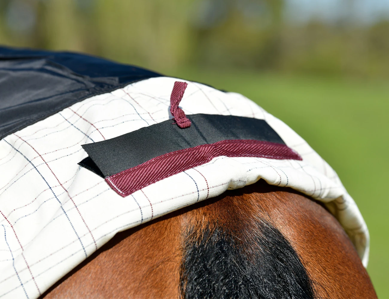 KOOL COAT Cotton Standard Neck II