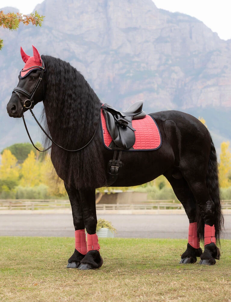 LEMIEUX Suede Dressage Square Saddle Pad