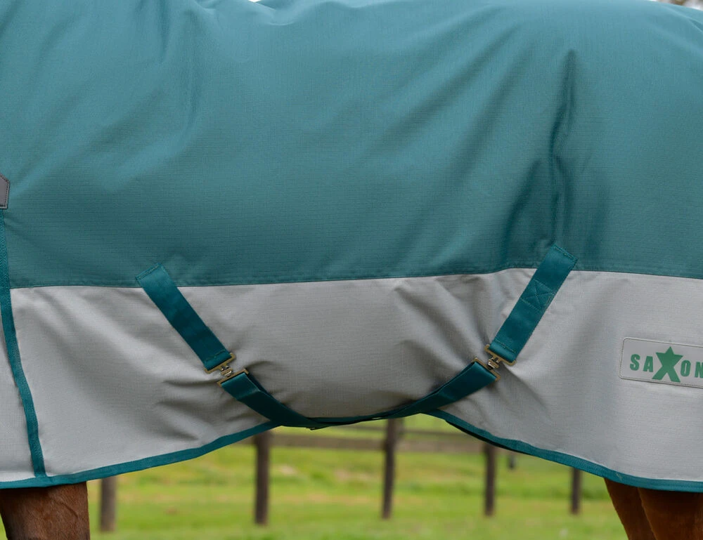 SAXON Robur 1200D Combo Neck Lite