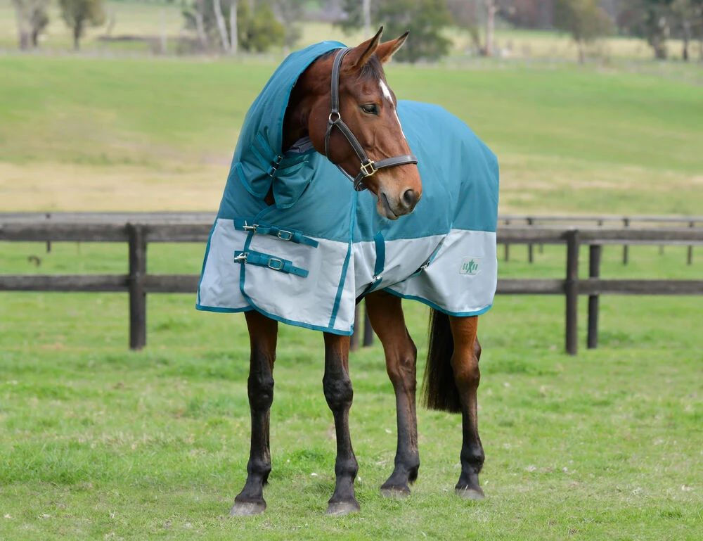 SAXON Robur 1200D Combo Neck Lite