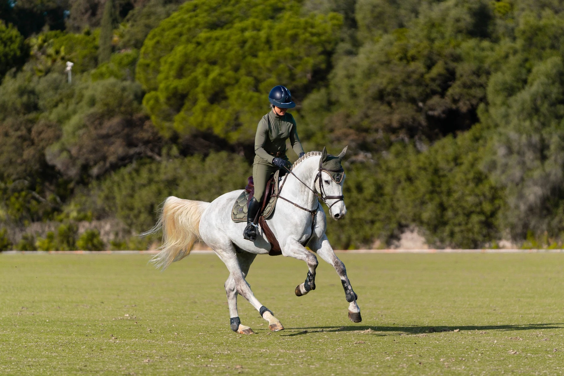 EQ STOCKHOLM Equestrian Stockholm Jump Saddle Pad