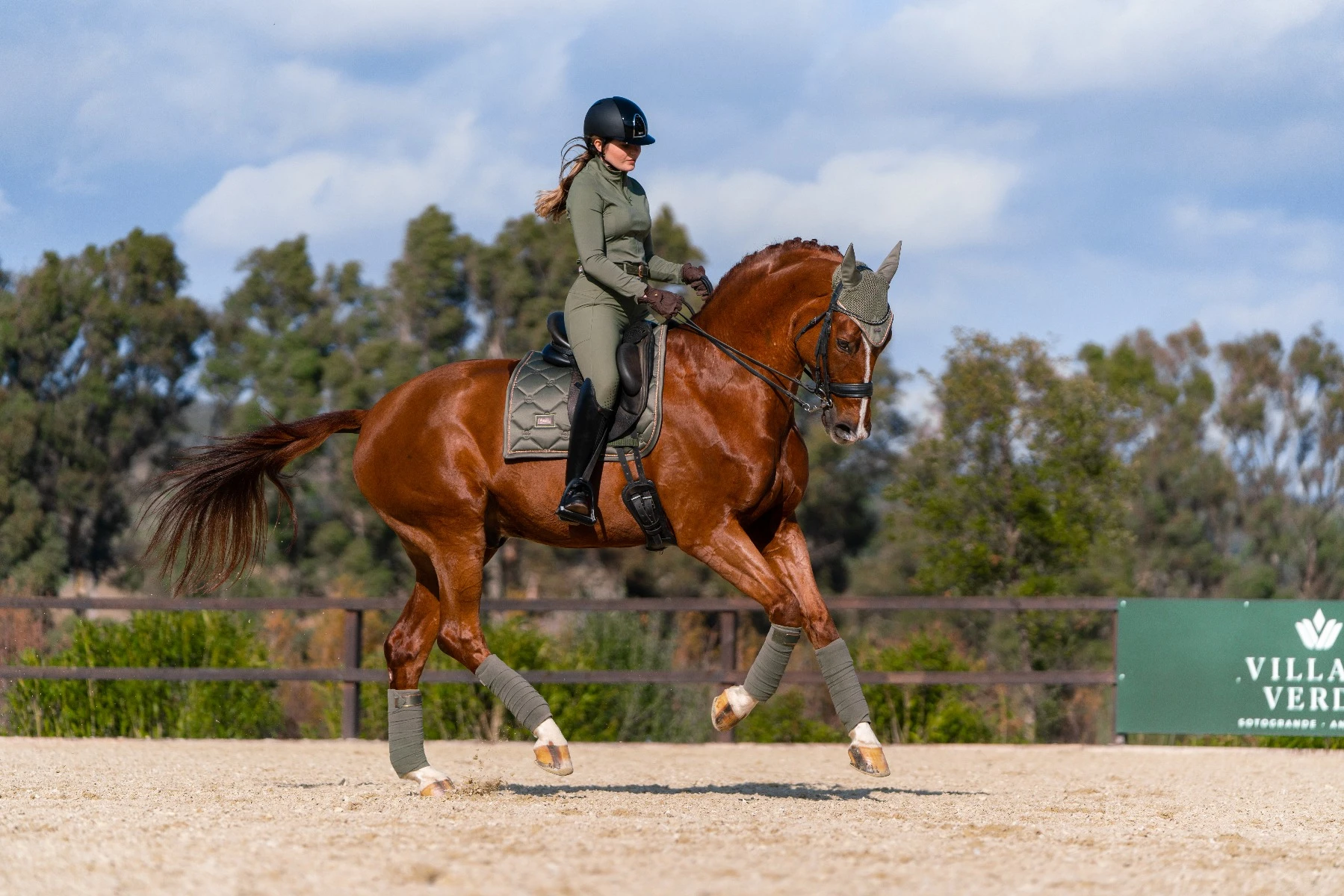 EQ STOCKHOLM Equestrian Stockholm Dressage Saddle Pad