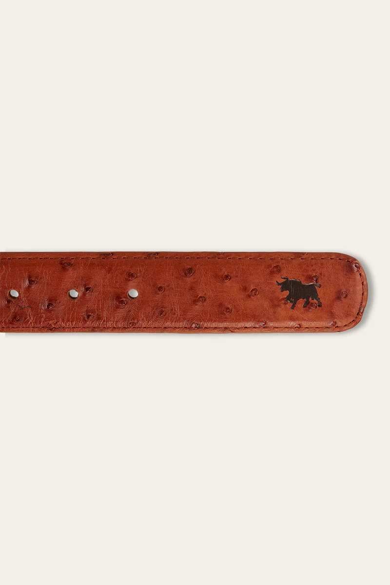 Telford Belt - Chestnut Ostrich