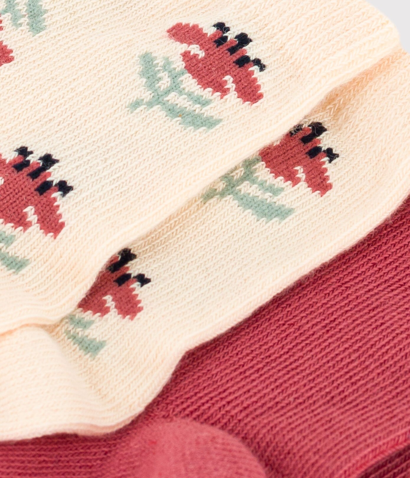 Lot de 2 paires de chaussettes fleurs en jersey de coton bébé
