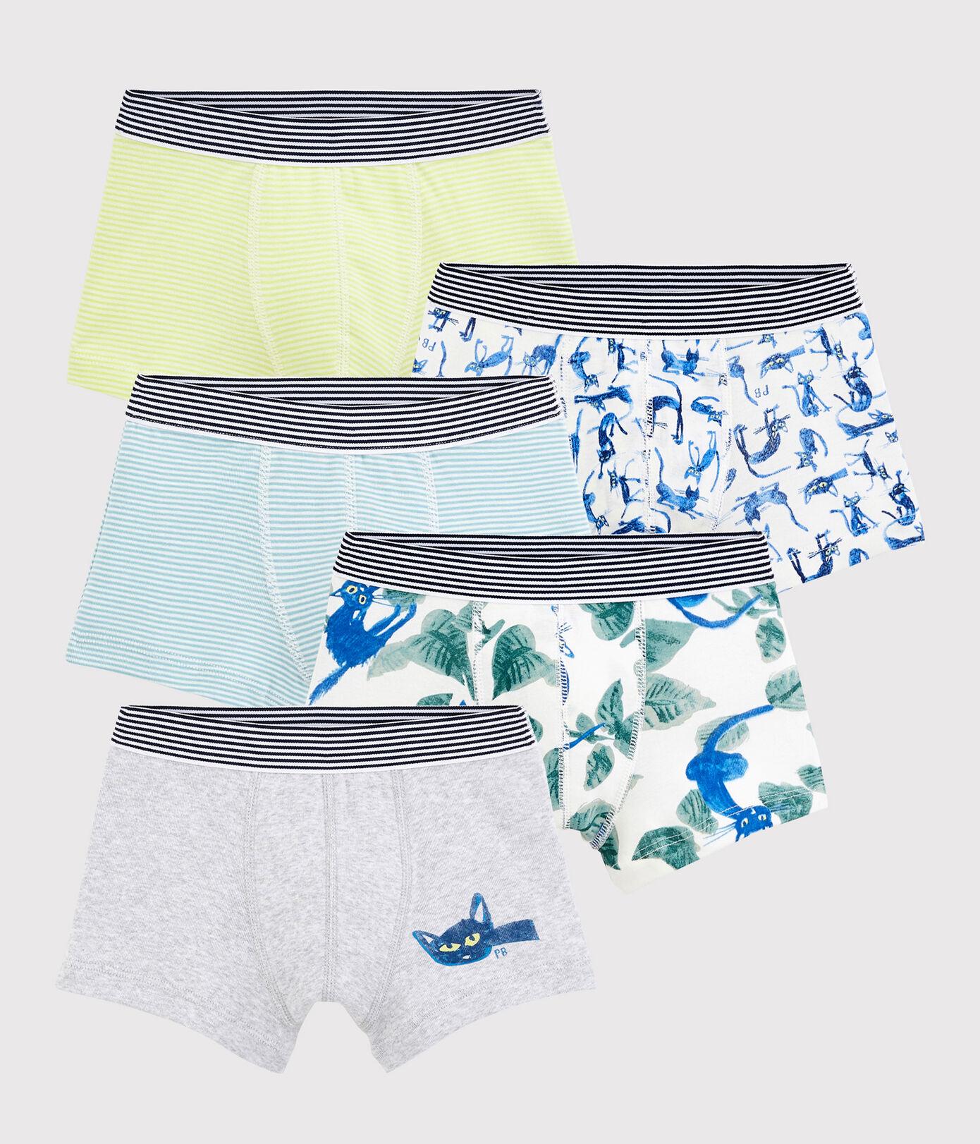 Lot de 5 boxers chats petit garon