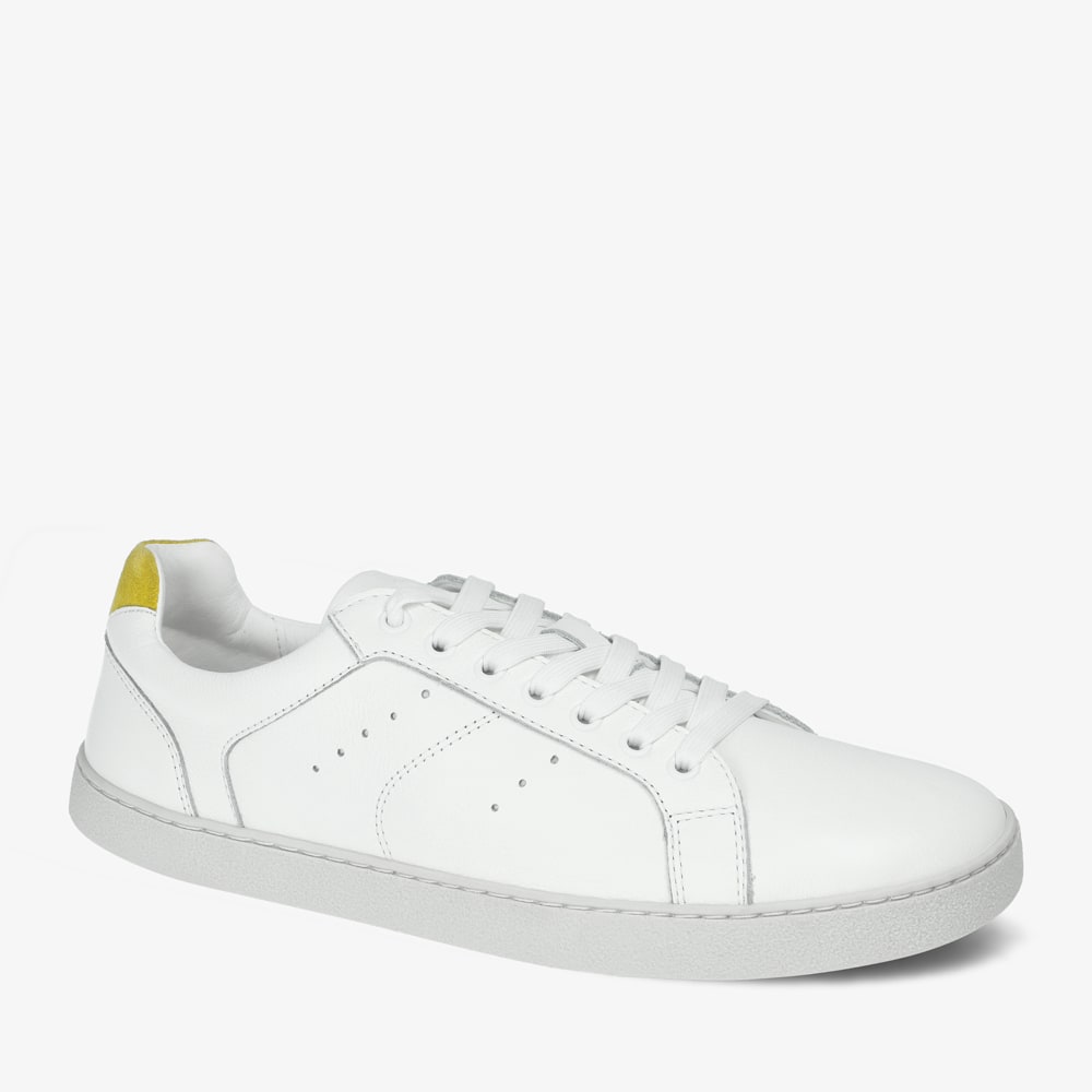 GROUNDIES®<br> Universe Men