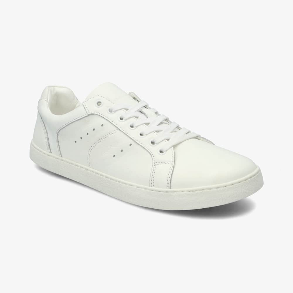 GROUNDIES®<br> Universe Men