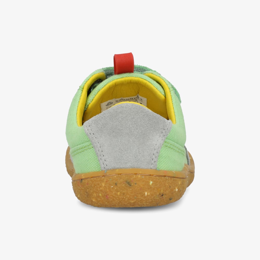 GROUNDIES®<br> Amsterdam Kids