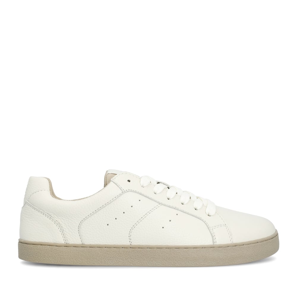 GROUNDIES®<br> Universe Women