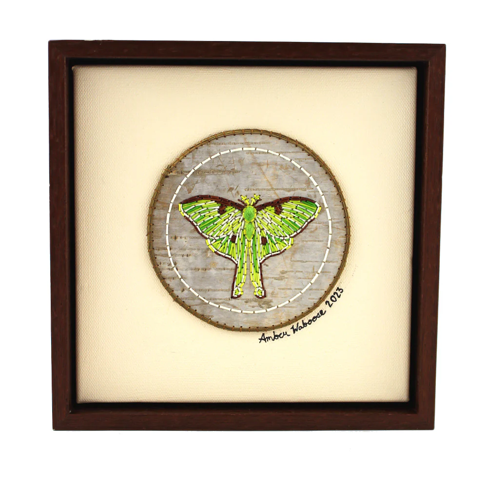 Amber Waboose Quilled Lunar Moth Artwork