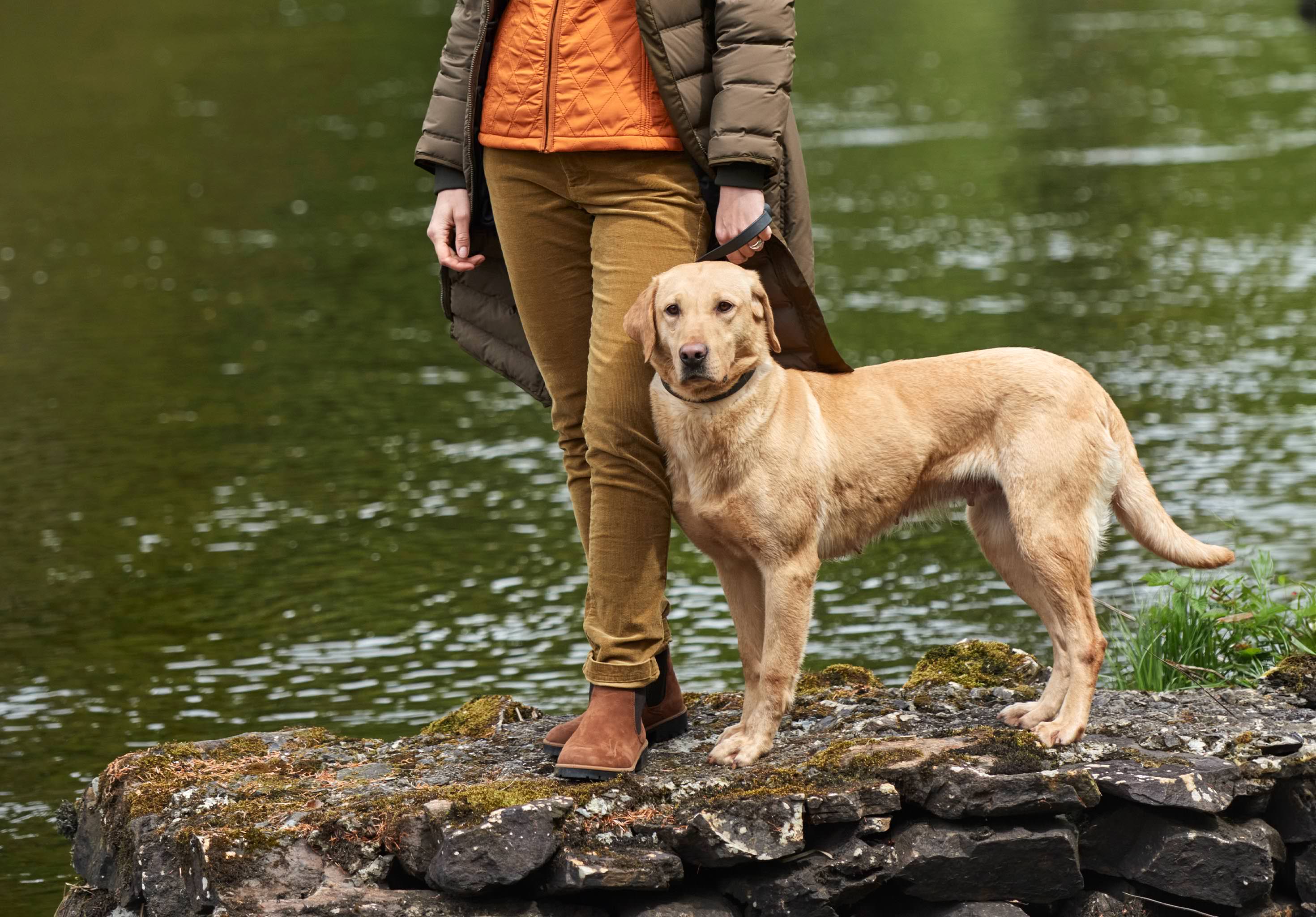 Honeysuckle Ladies' Jeans - Harvest Gold