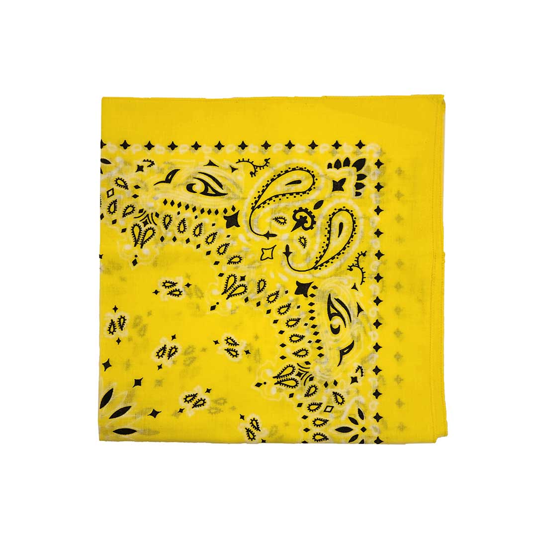 Austin Accent Paisley Print Bandana