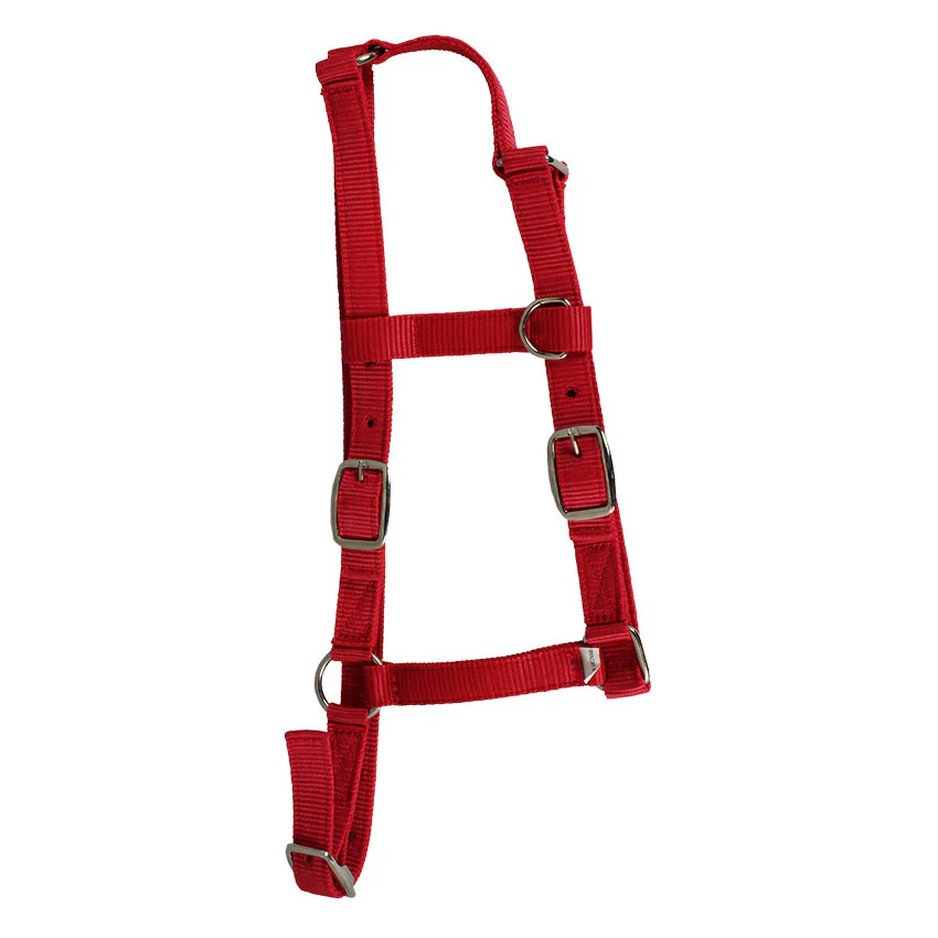 Western Rawhide Nylon Pony Halter