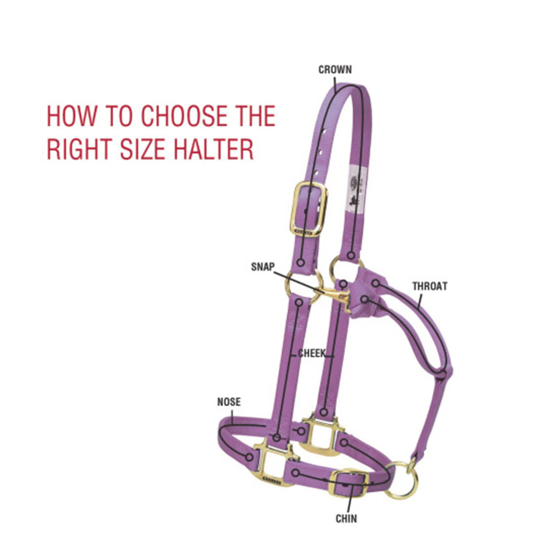 Weaver Original Adjustable Chin And Throat Snap Halter, 1 Draft