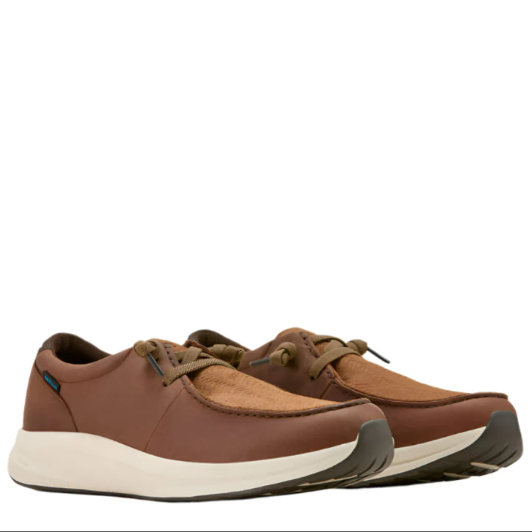 Ariat Men's Buckeye Waterproof Shoe