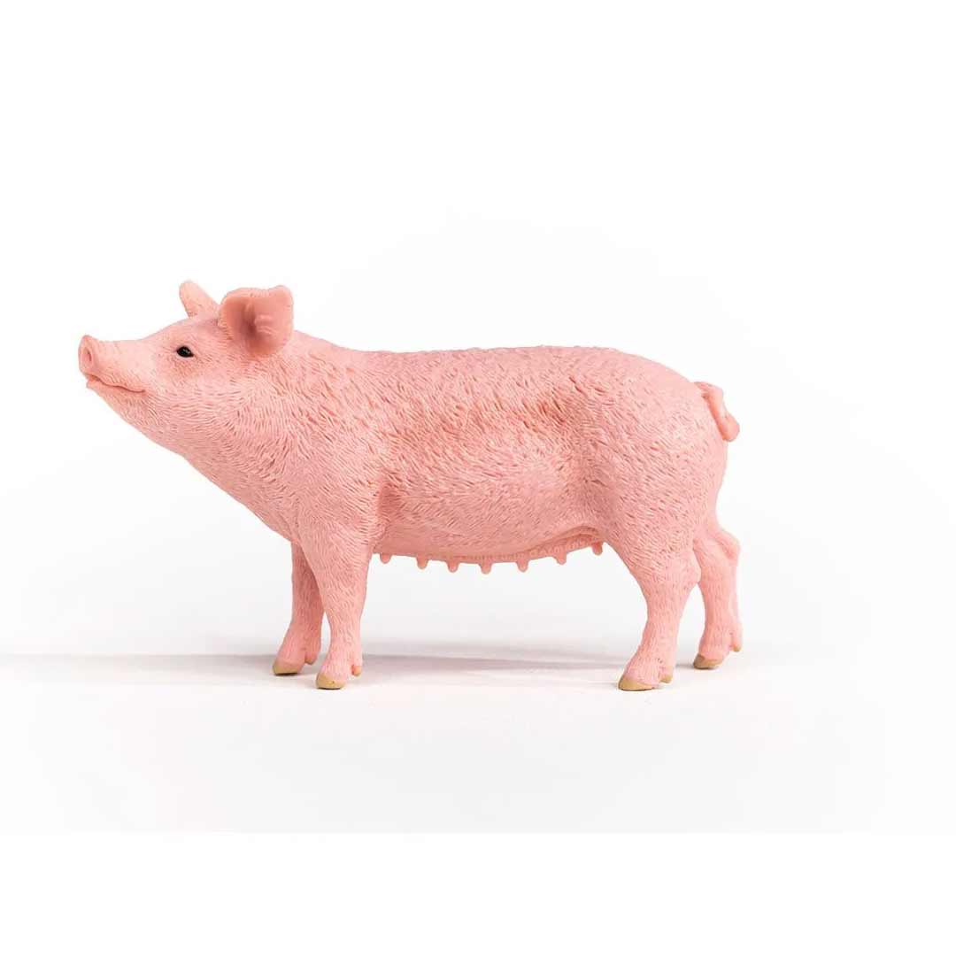 Schleich Kid's Pig Toy