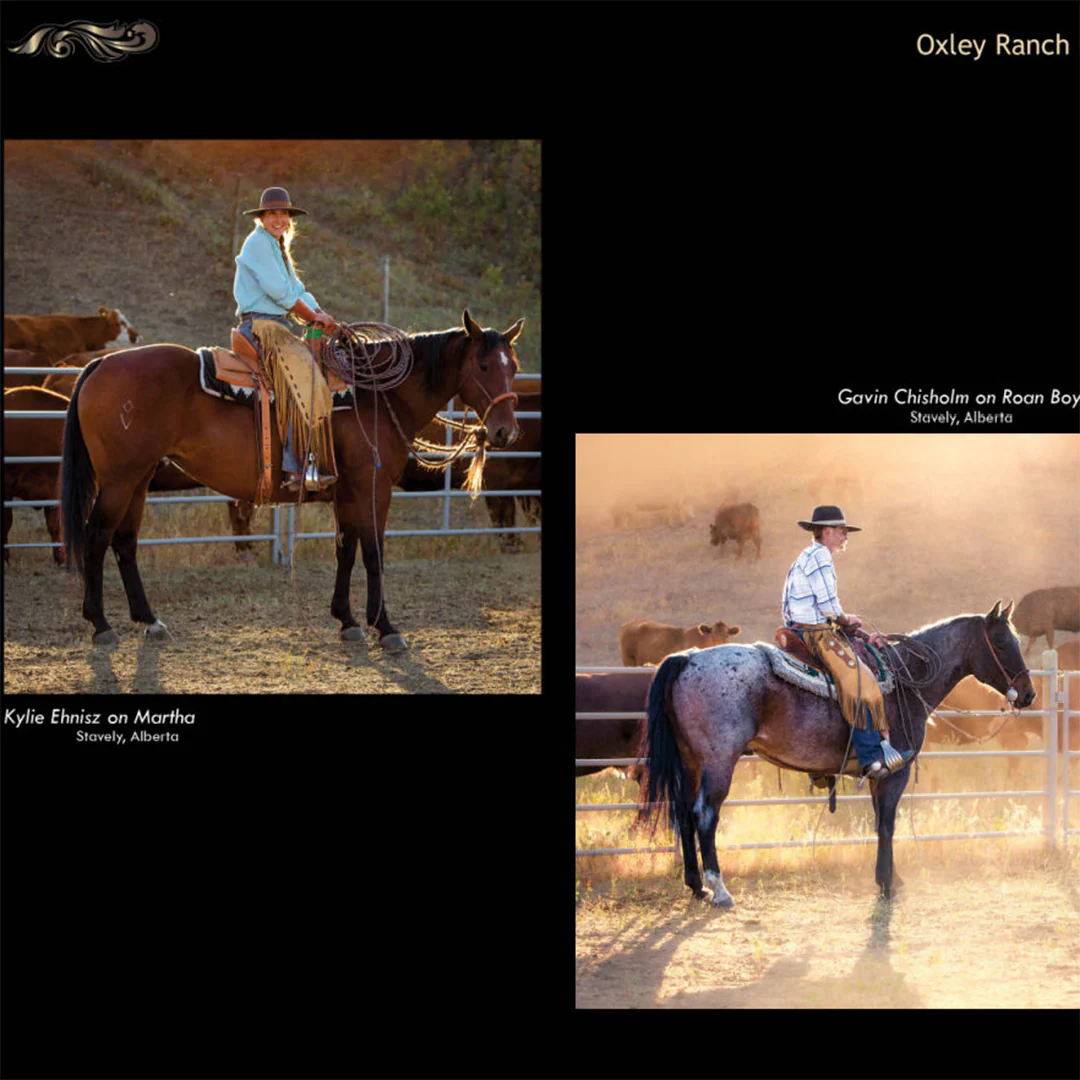 Kim Taylor On The Trail 2025 Day Planner