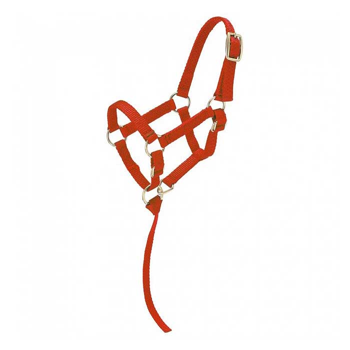 Tough-1 Miniature Nylon Halter