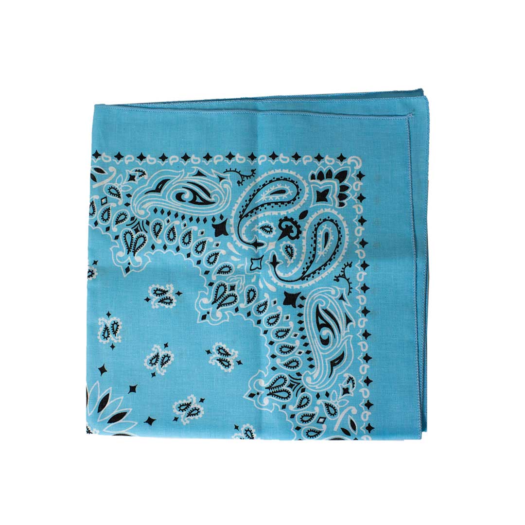 Austin Accent Paisley Print Bandana