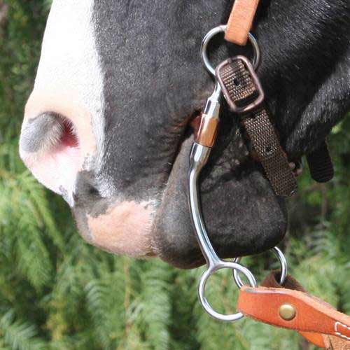 Professional's Choice Bob Avila Correction Bit